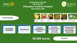 Infographie présentant un projet de plantation d'arbres dans le Pays Dogon, au Mali, mettant en avant les variétés d'arbres fruitiers, les partenaires du projet, le calendrier des principales activités, les familles maliennes et les villages concernés, pour un budget de 30 000 euros. - Rotary Club Paris Agora