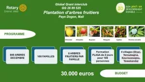Infographie présentant un projet de plantation d'arbres dans le Pays Dogon, au Mali, mettant en avant les variétés d'arbres fruitiers, les partenaires du projet, le calendrier des principales activités, les familles maliennes et les villages concernés, pour un budget de 30 000 euros. - Rotary Club Paris Agora